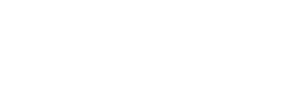 Logo Bison Nettoyage Service Blanc