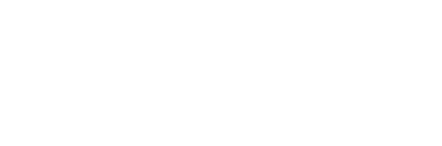 Logo Bison Nettoyage Service Blanc