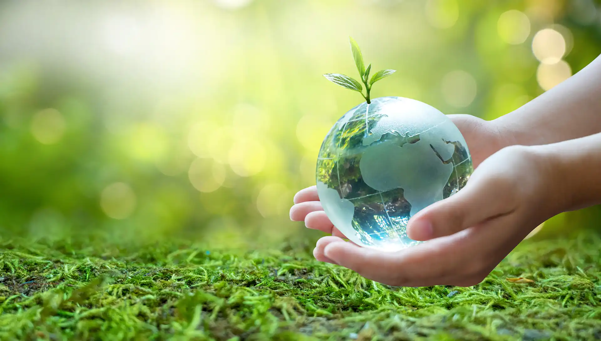 Image d'illustration pour l'Ecolabel